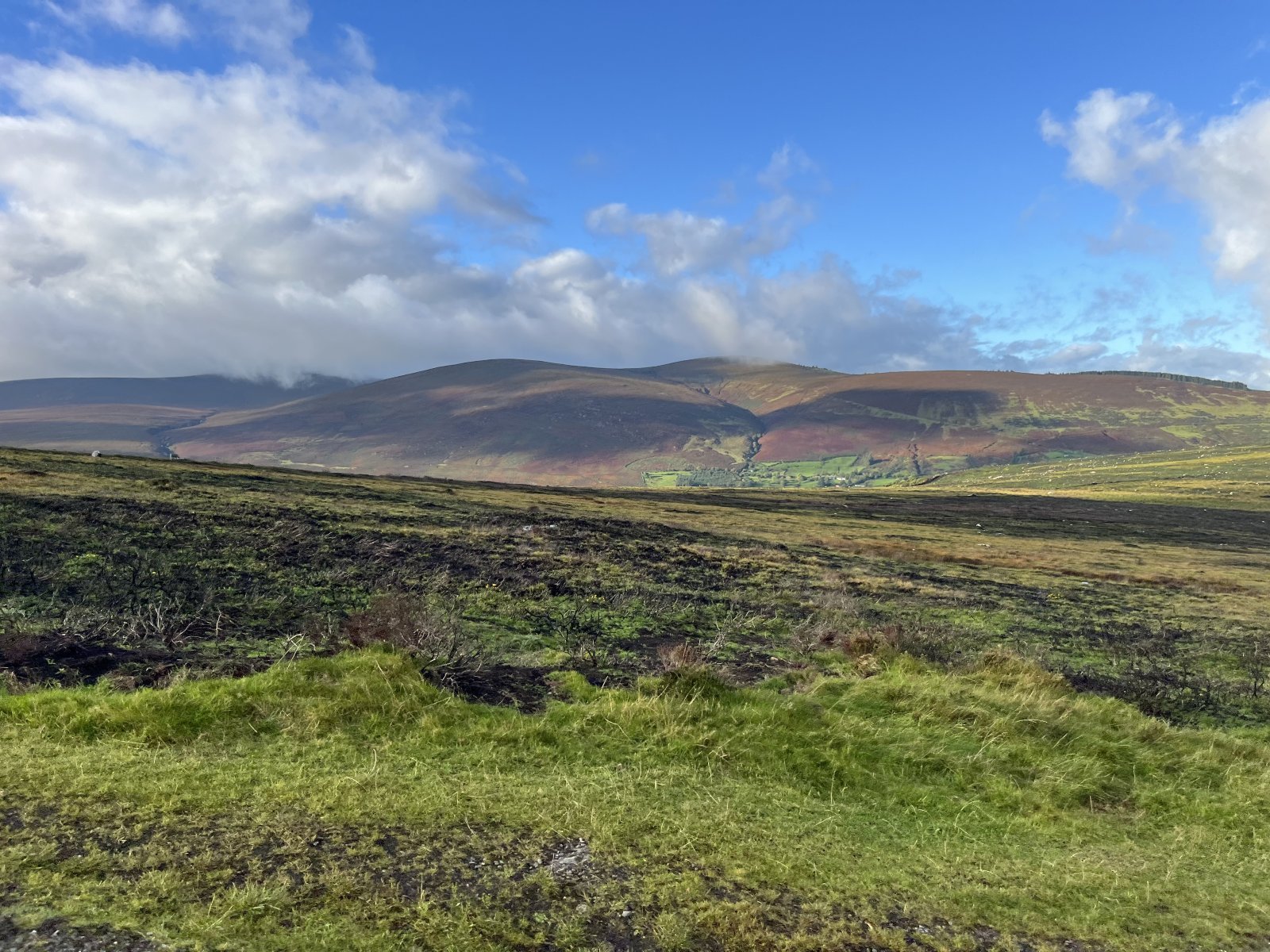 View across heather-covered Wicklow uplands under a blue sky with drifting cloud